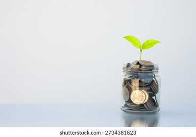 coin stack money saving concept. green leaf plant growth on coin in glass jar on white background. money matters tips management to investment and business financial banking for Financial Wellness.