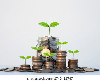 coin stack money saving concept. green leaf plant growth on rows of coin on white background. money matters tips to investment and business financial banking for Financial Wellness.money management.