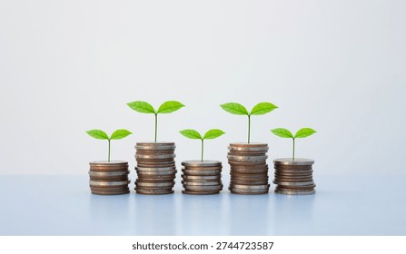 coin stack money saving concept. green leaf plant growth on rows of coin on white background. money matters tips to investment and business financial banking for Financial Wellness.money management.