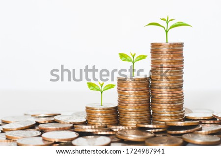 coin stack money saving concept. green leaf plant growth on rows of coin on white background. money matters tips to investment and business financial banking for Financial Wellness.