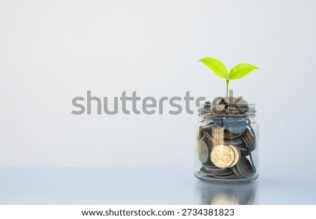 coin stack money saving concept. green leaf plant growth on coin in glass jar on white background. money matters tips management to investment and business financial banking for Financial Wellness.
