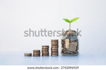 coin stack money saving concept. green leaf plant growth on rows of coin on white background. money matters tips to investment and business financial banking for Financial Wellness.money management.