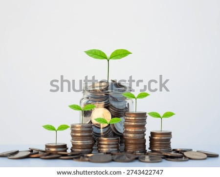 coin stack money saving concept. green leaf plant growth on rows of coin on white background. money matters tips to investment and business financial banking for Financial Wellness.money management.