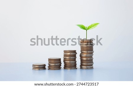 coin stack money saving concept. green leaf plant growth on rows of coin on white background. money matters tips to investment and business financial banking for Financial Wellness.money management.