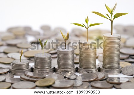 Coin stack step up and small green trees are growing growth. Saving money. Concept financial business investment. copy space