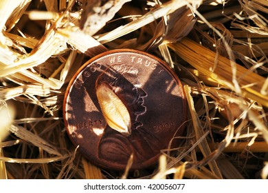 coin in the straw 
