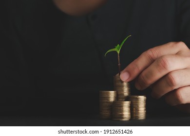 Coins business concept Seedlings on coins Concept of investing for profit in the future