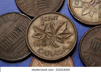 Coins of Canada. Maple leaves depicted in Canadian one cent coin. 