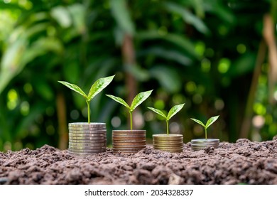 Coins And Crops On Coins With Blur Green Background Finance, Investment, And Money Growth Concept.