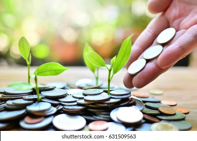 coins growth up to profit concept  investment and finance