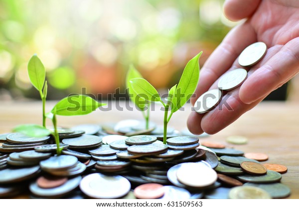 рост монет до прибыли концепции инвестиций и финансов