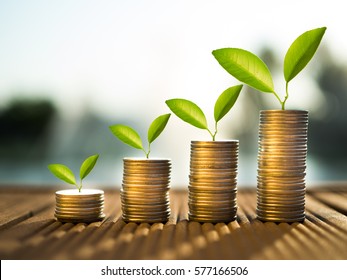  coins and money growing plant for finance and banking, saving money or interest increasing concept - Shutterstock ID 577166506