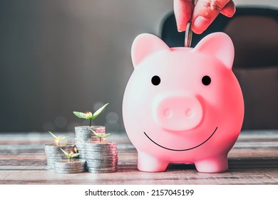 Coins with a money-saving concept and a profit graph of corporate finance in a piggy bank with money boxes for future tourist, house, and retirement funds on a blurred background. - Shutterstock ID 2157045199