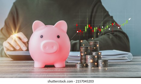 Coins with a money-saving concept and a profit graph of corporate finance in a piggy bank with money boxes for future tourist, house, and retirement funds on a blurred background. - Shutterstock ID 2157045203