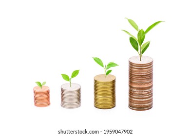 Coins and plants are planted on a pile of coins. Ideas for investment finance Banking business growth, savings and productivity on white background - Shutterstock ID 1959047902