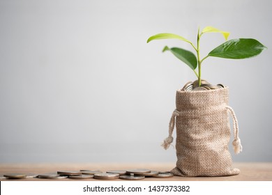 Coins in sack and plant glowing in savings coins, Pension fund, 401K, Passive income, Investment and retirement concept. savings and making money, Business investment growth concept. Risk management.