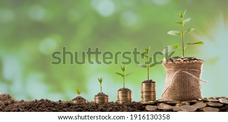 Coins in sack with small plant tree. Money Business success growing concept