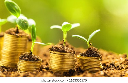 Coins in soil with young plants on background - Shutterstock ID 1163356570