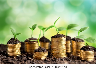 Coins in soil with young plants on background - Shutterstock ID 1287247243