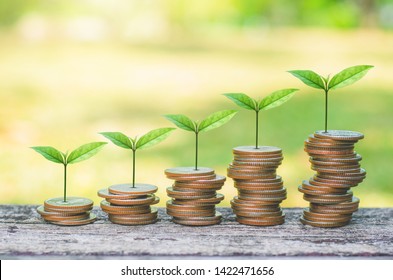 Coins Stack On Wood Table With Green Plant Growing On. Money Saving Business Finance Success Wealth Investment Budget Concept. Startup Plan. ESG.