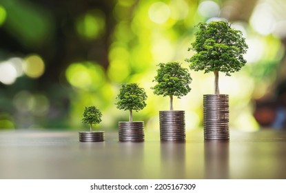 coins stack with step growing plant and sunshine background. concept saving money 