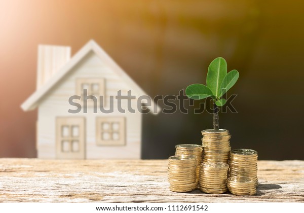 Coins tree and house show the growth of money\
savings. savings to buy a home or buy real estate. Or show a home\
loan Or divide the investment for retirement. Or for the future\
Concept of money