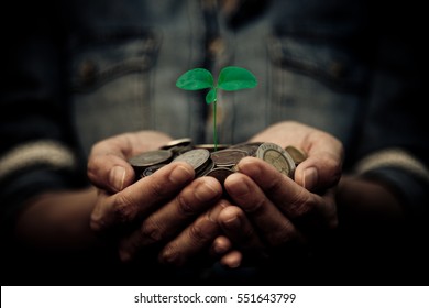 A Coins With Tree In People Hands In Saving And Growing Money Concept