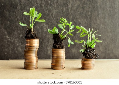 Coins Young Plants Soil Money Growth Stock Photo (Edit Now) 398163001