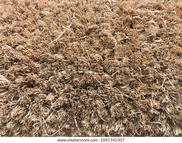 Coir Matting Natural Coconut Entrance Matting Stock Photo Edit