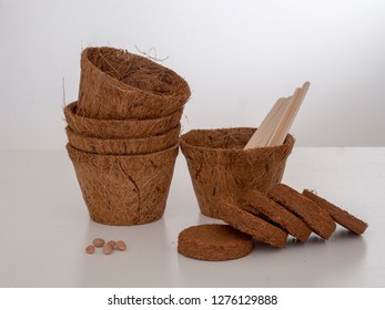 Coir Plant Pots And Compressed Compost With Seeds And Wooden Labels. Environmentally Friendly Spring Gardening. Pale Background.