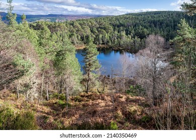 Coire Loch in Glen Affric from the Dog Falls Walk in the Highlands, Scotland - Shutterstock ID 2140350469