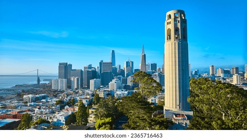 Coit Tower surrounded by trees with San Francisco downtown in background aerial