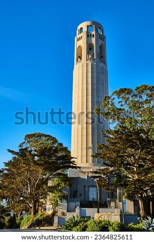 Coit Tower with tall trees around its base