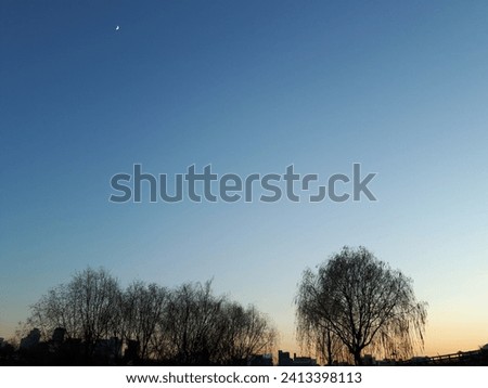 Colaborations of the moon and the sunset