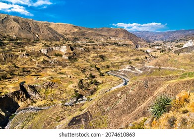 The Colca River With Its Canyon In Peru