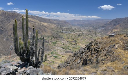 Colca River In Southern Peru