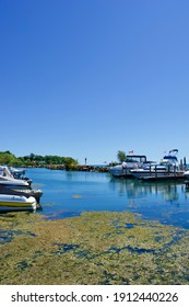 Colchester, Ontario, Canada - August 19, 2020: Algae Blooms At Colchester Marina On Lake Erie 