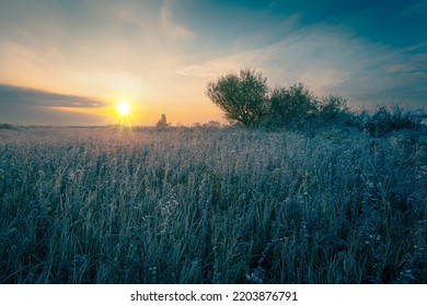 Cold autumn morning on a high grass meadow with rime on the ground and plants. Frosty sunrise background. Hoarfrost on the high grass.