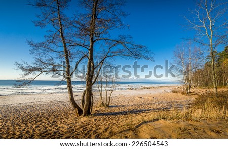 Similar – Foto Bild Ostseeküste in Polen