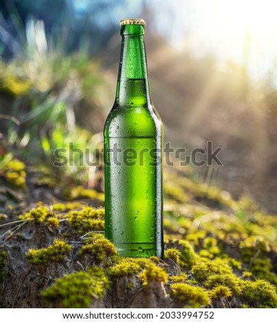 Cold beer bottle with sun light beam which is playing on the bottle. Nature background.
