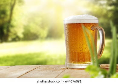 Cold Beer In Garden Space 