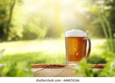 Cold Beer In Garden Space 