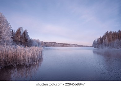 A cold blue dawn by the forest lake in early spring - Powered by Shutterstock