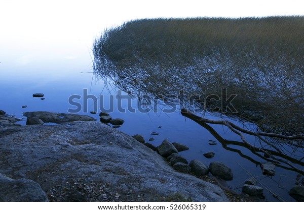 The cold blue lake in\
northern Europe. Reflection of stones and grass in water. Quiet\
weather, calm.