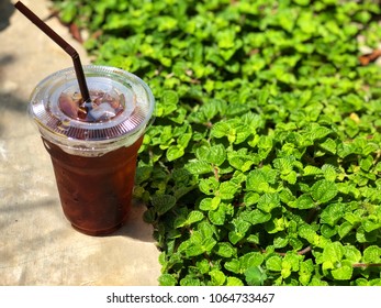 Cold Brew Coffee Cup On The Cement Floor Near Peppermint Green Leaves In The Garden With Natural Sunlight.