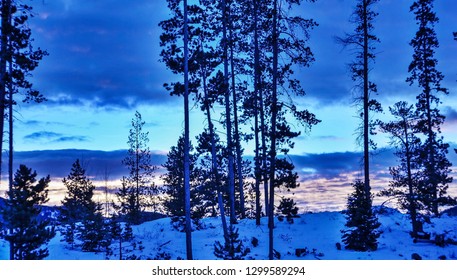 Cold Colorado Winter Sunrise In The Forest