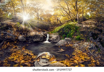Cold creek in autumn forest