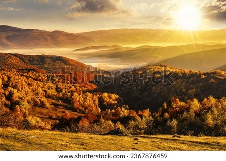 cold fog in carpathian rural valley at sunset. beautiful mountain landscape in autumn. countryside scenery in evening light. view from above 商業照片 © 