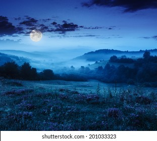 Cold Fog On Forest Near Mountains At Night In Moon Light