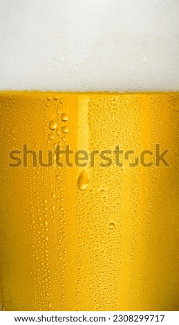 Cold Fresh Beer and Bubble